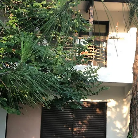 Maria' S House